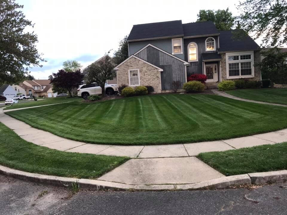 Large residential lawn with crisp mowing stripes
