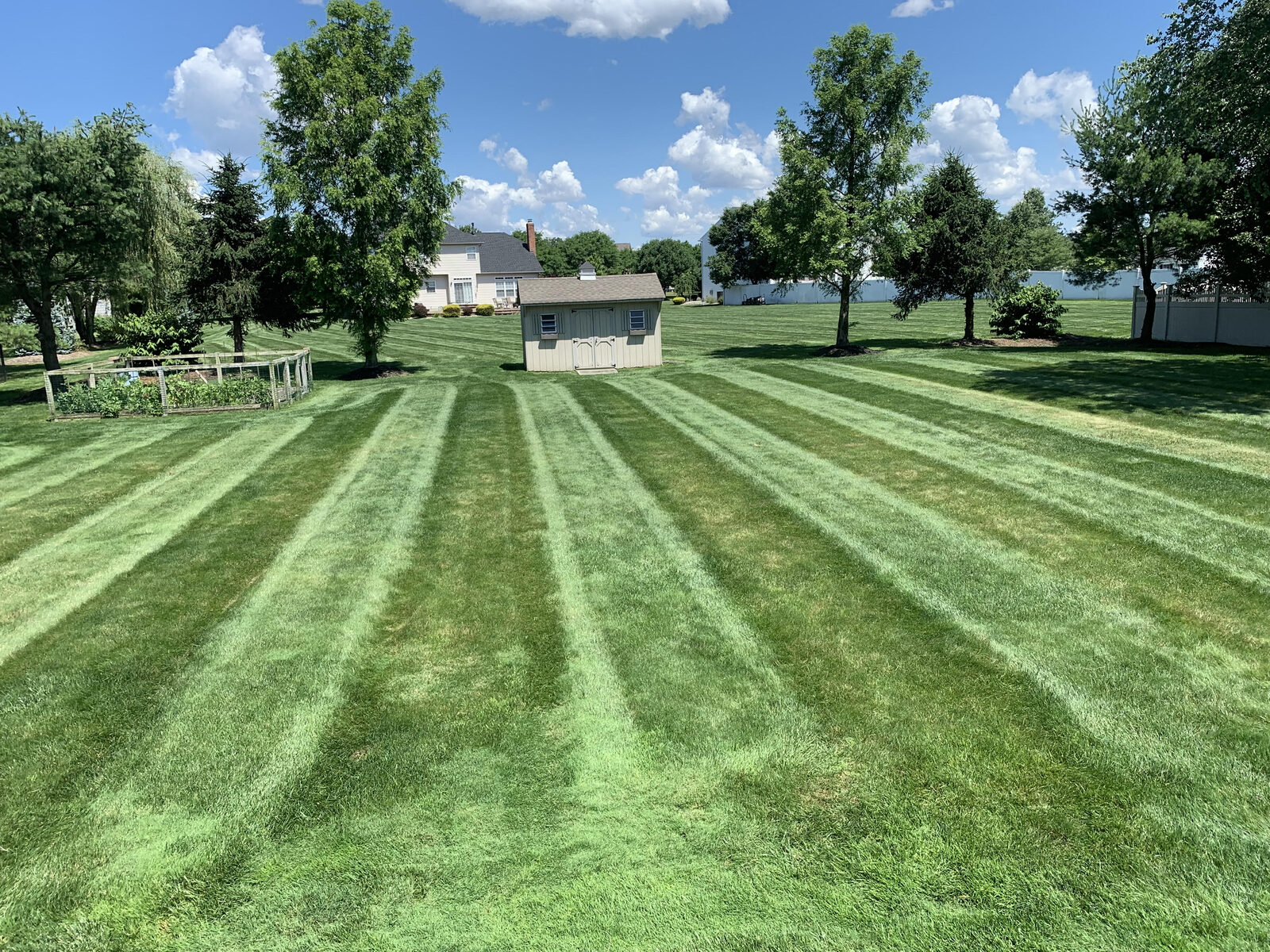 Broad green lawn with professional striping